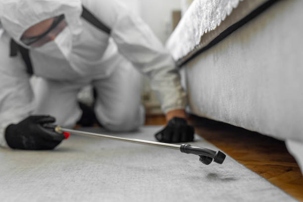 Professional Termite Control technician working in Hinsdale, IL