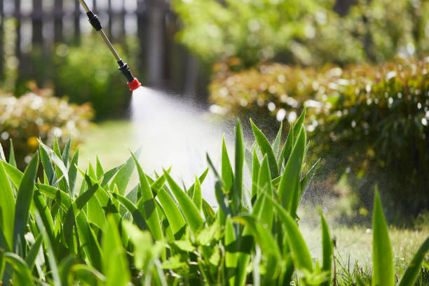 24/7 Emergency Termite Control experts in Hinsdale, IL