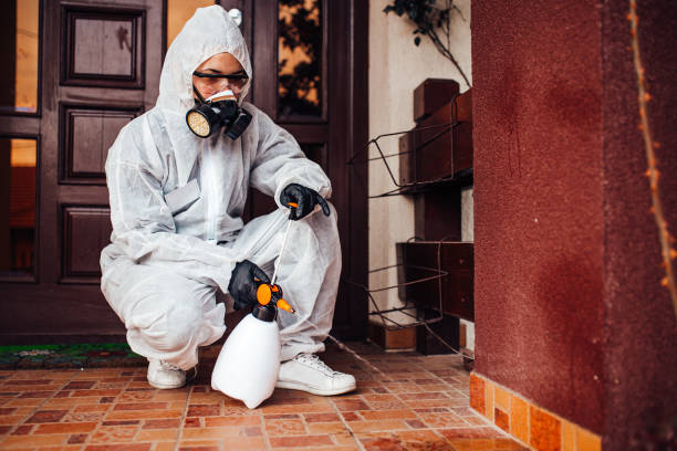 Reliable Termite Control contractor in Hinsdale, IL by Nex Pest Control