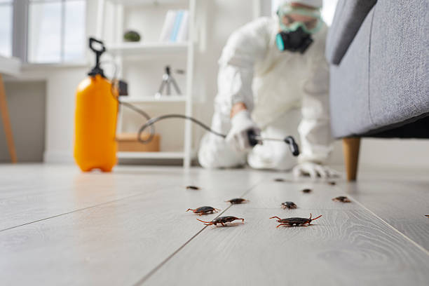 Trusted Termite Control service in Hinsdale, IL - Nex Pest Control