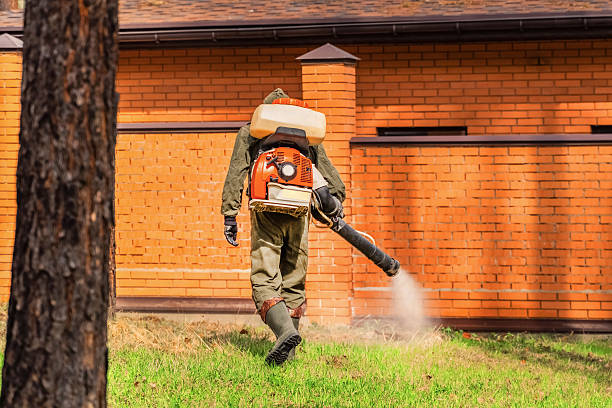 Trusted Emergency Pest Control service in Hinsdale, IL - Nex Pest Control